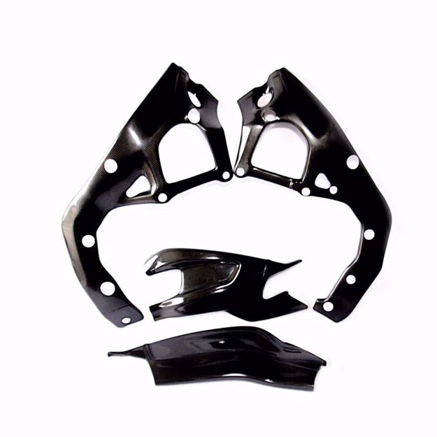 Picture of Carbon Racing frame and swingarm protector set suitable for BMW S 1000RR
